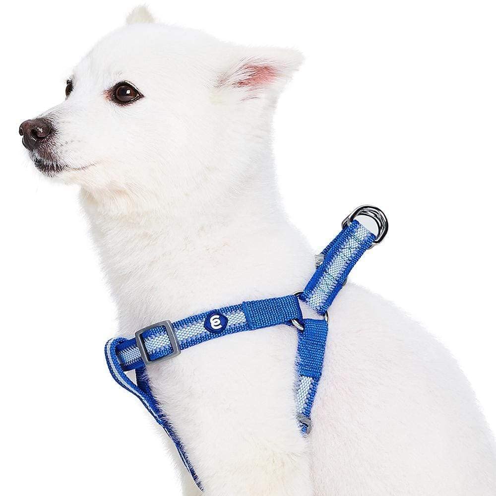 Blueberry Pet Essentials Reflective Step-in Dog Harness - Adjustable Large Size (26
