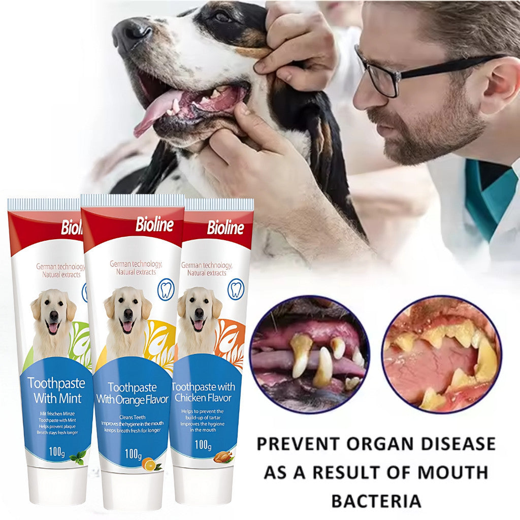 Bioline Pet Toothpaste 100g - Orange Mint Chicken Flavor for Dogs & Cats | Tartar & Plaque Prevention | Freshens Breath & Promotes Healthy Teeth | Ideal for Daily Oral Care Routine