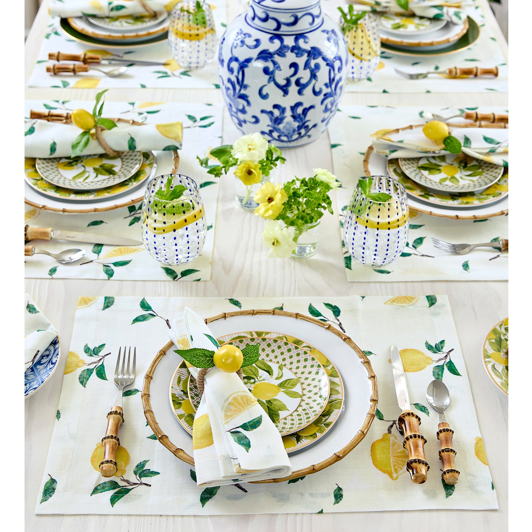 Botanical Lemon Placemats Set of 4 - Waterproof & Heat-Resistant Table Mats for Kitchen Dining, Outdoor Picnics & Party Decor