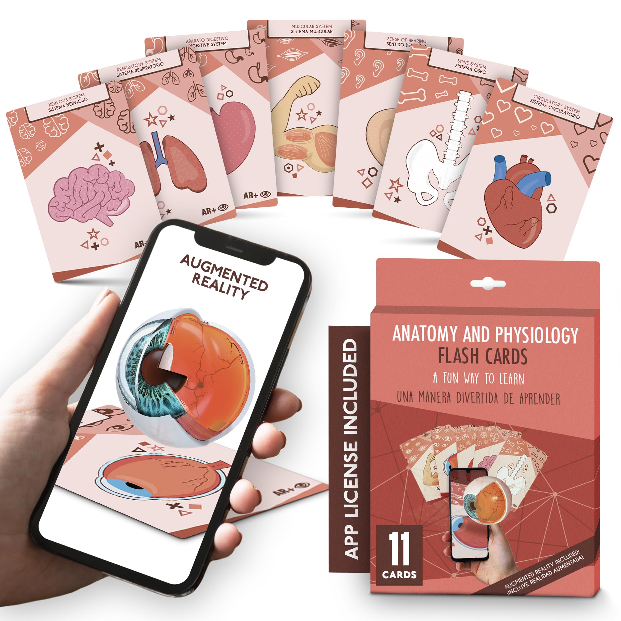 AR+ Body Planet: Human Body Anatomy Cards with Augmented Reality - Interactive Learning Tool for Kids, Students & Medical Education