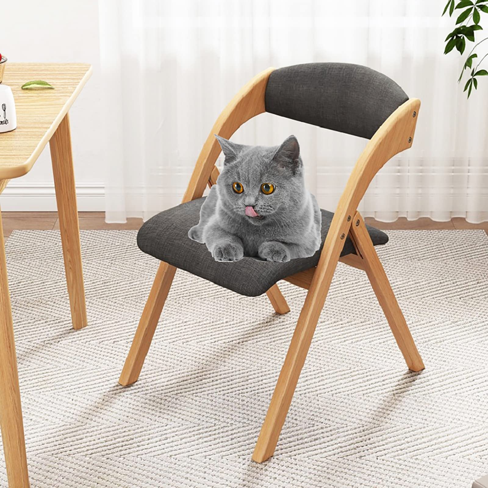 DSHOME 2-Pack Wooden Folding Chairs with Backrest - Modern Portable Upholstered Dining Chairs for Home, Office & Conference - Dark Gray | Space-Saving Seating Solution for Small Apartments, Outdoor Events & Temporary Gatherings