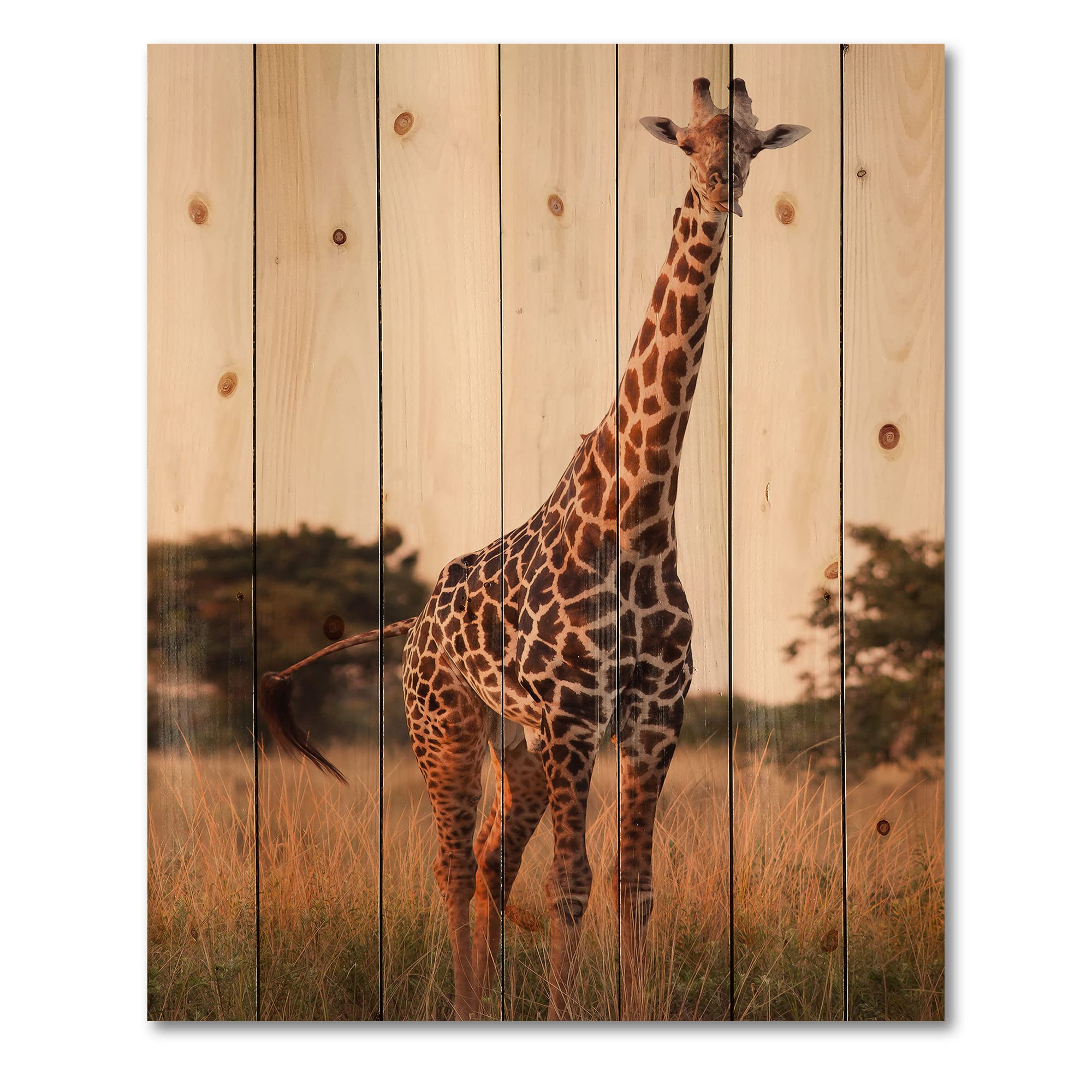 DesignQ African Giraffe in the Wild - Rustic Farmhouse Wood Wall Decor, Brown Wood Wall Art, Large Animal Wood Panel Printed on Natural Pine - Perfect for Living Room, Nursery & Safari-Themed Home Decor