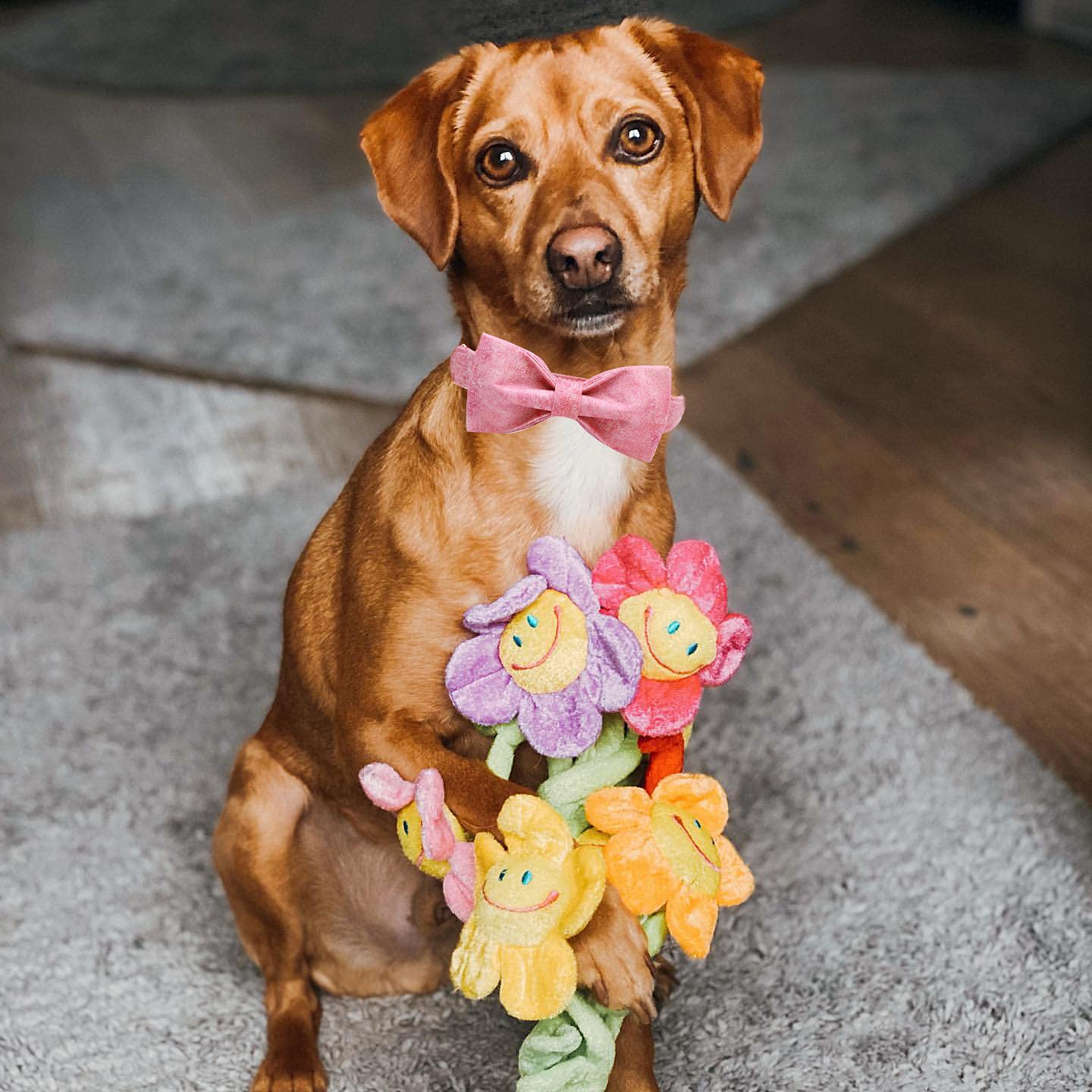 Pink Colorful Adjustable Dog Collar with Soft Bow Tie - Elegant & Comfortable Pet Collar for Large Dogs - Perfect for Daily Walks, Training & Special Occasions