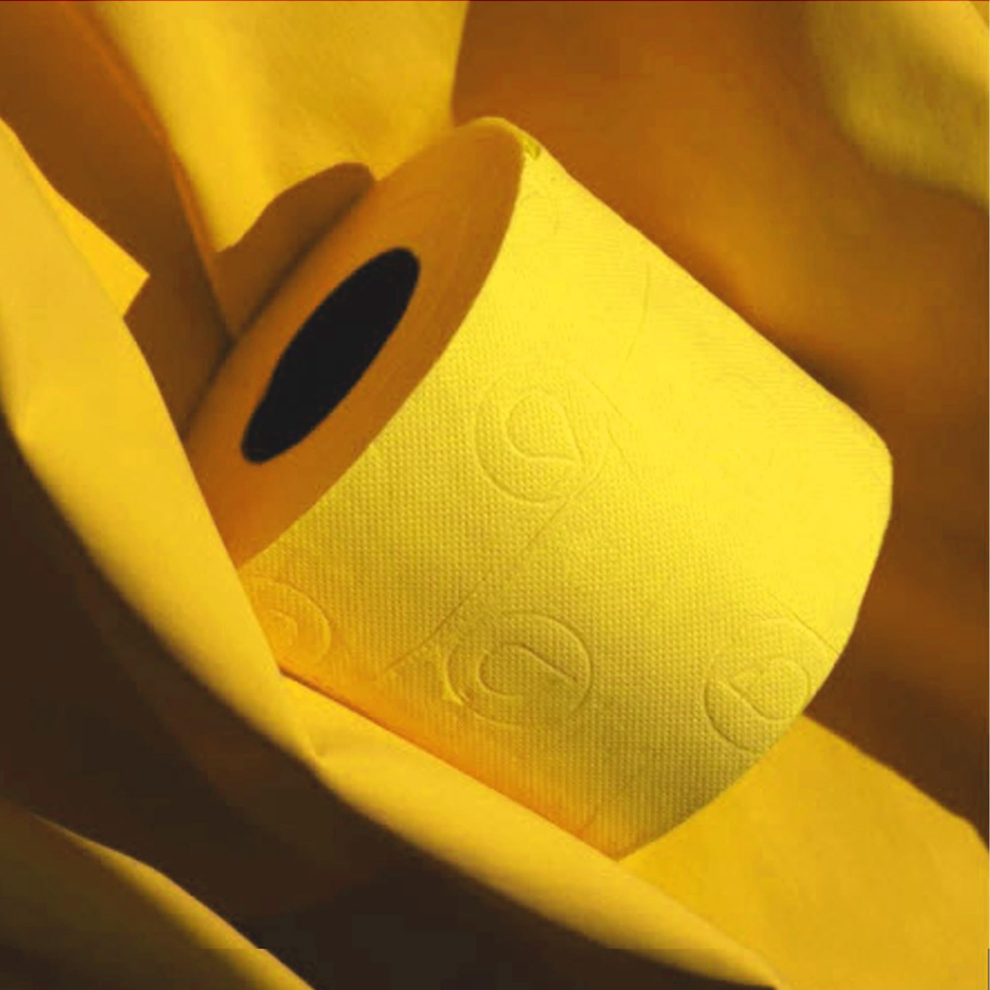 Renova Premium Crystal Yellow Toilet Paper - 2 Rolls Pack (2 Rolls Total) - Ultra Soft & Absorbent for Luxury Bathrooms & Guest Suites