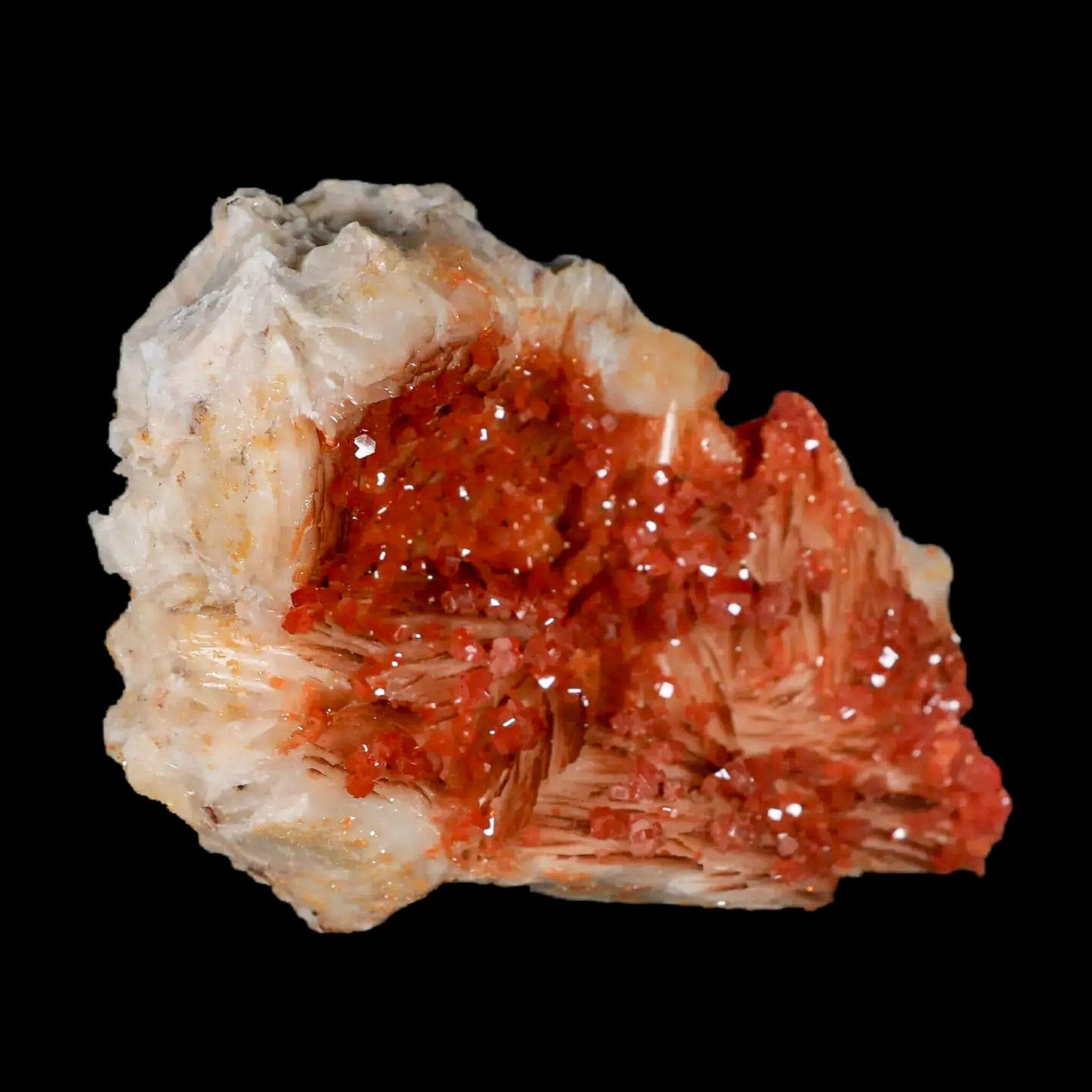 Sparkly Orange Vanadinite Crystals with White Barite Blades - 3.3