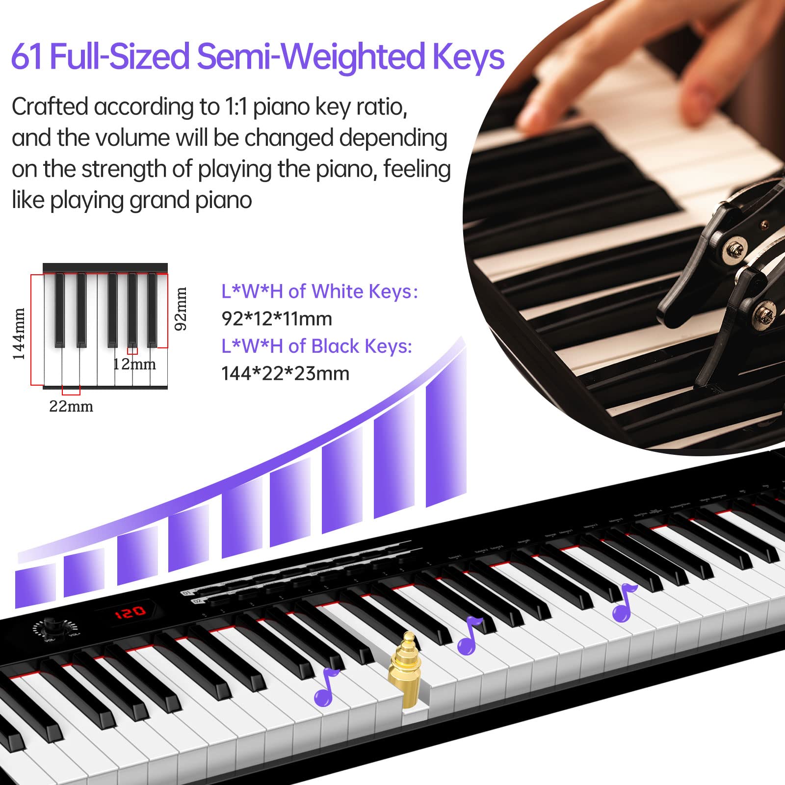 TERENCE 61-Key Digital Piano Keyboard with Semi-Weighted Keys, LCD Display, Stand & Accessories - Portable Electronic Piano for Beginners, Home Practice & Music Lessons (Includes Power Supply, Music Stand & Headphones) - Perfect for Living Room, Bedroom & Small Spaces