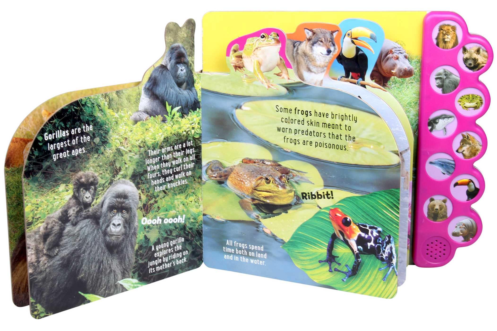 Howl with the Animals! - 10-Button Sound Book for Kids | Interactive Animal Sounds Learning Toy | Perfect for Storytime, Preschool Education & Bedtime Fun