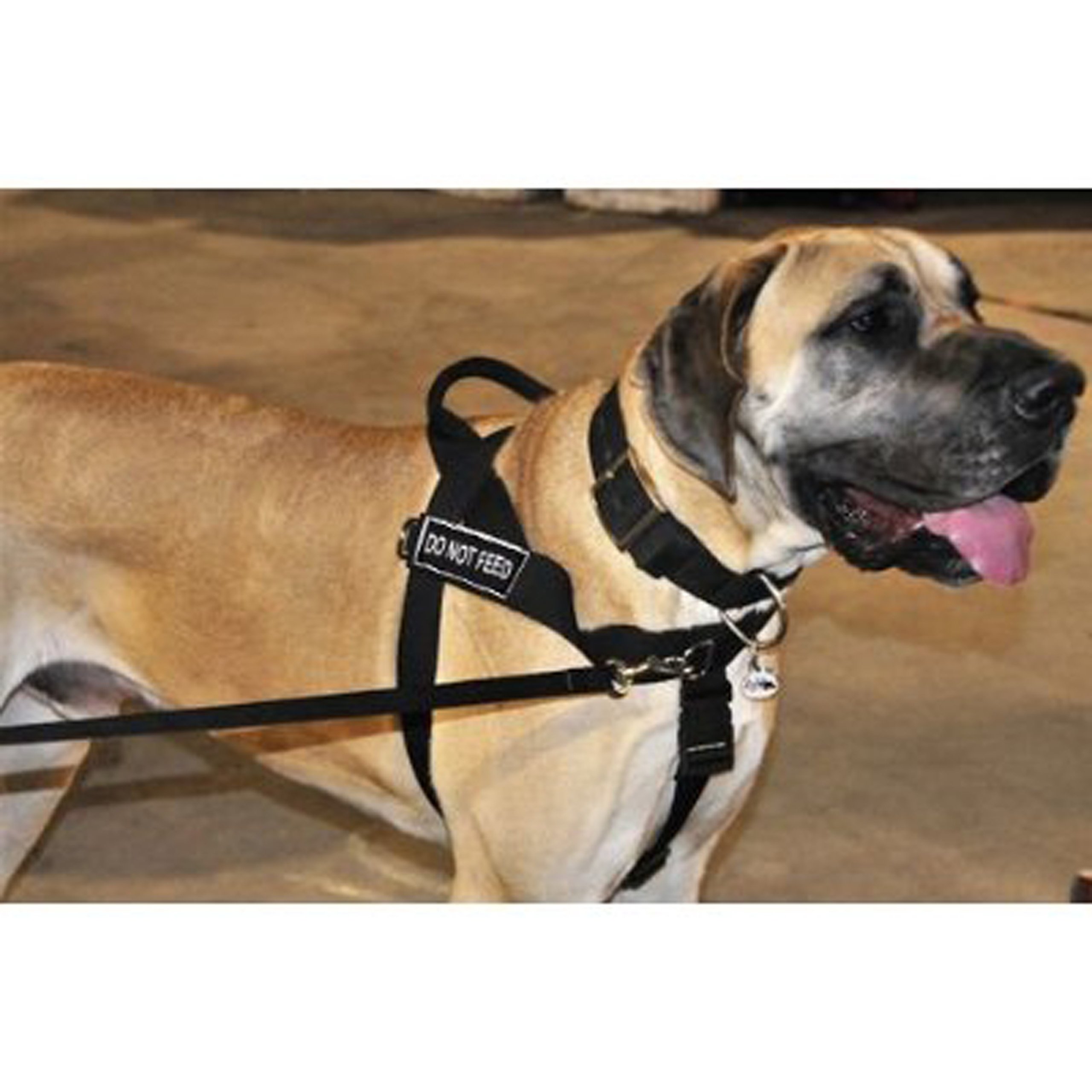 No Pull Dog Harness for Large Dogs - Adjustable Pet Vest Harness with Front Clip, Black X-Large (36-47 Inch Girth) - Perfect for Walking, Training & Outdoor Adventures