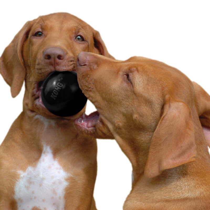 KONG Extreme Ball - Ultra Durable Dog Chew Toy for Aggressive Chewers - Perfect for Playtime, Training & Outdoor Activities