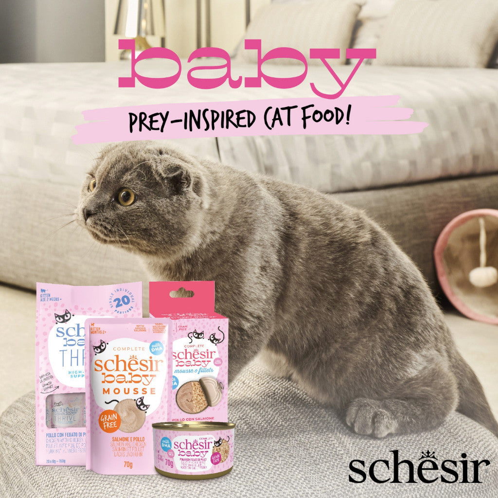 Schesir Grain-Free Kitten Wet Food - Complete & Balanced Nutrition with Wholefood Fillet & Velvet Mousse (70g) - Perfect for Growing Kittens and Picky Eaters