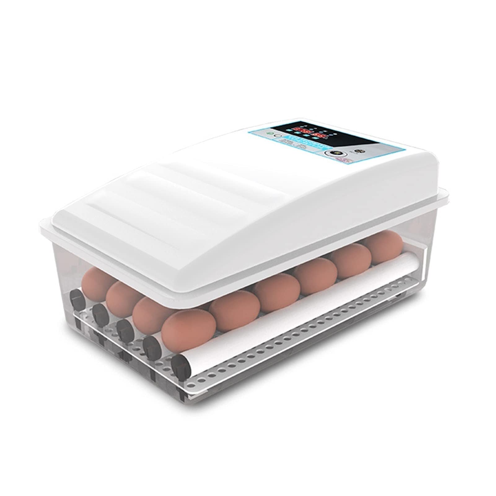 LYSGST 6 Egg Incubator with Temperature Control & Auto Turning - Clear Poultry Hatcher for Chicken, Quail, Duck Eggs - Perfect for Home Farming, Classroom Projects & Backyard Poultry Breeding