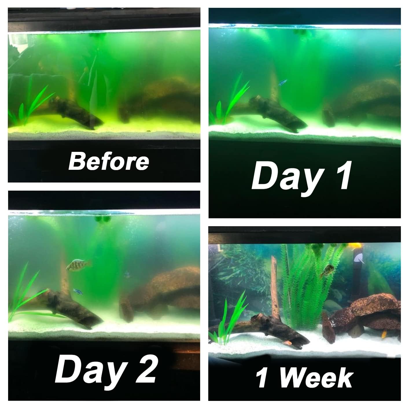 2-Pack 11W UV Light for 55-150 Gallon Aquarium - Algae Cleaner for Fish Tanks