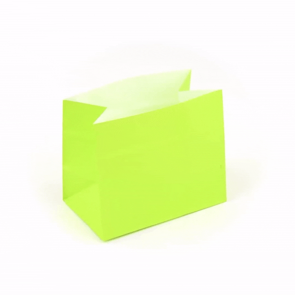 Eco-Friendly Large Snack Bags - 4.25