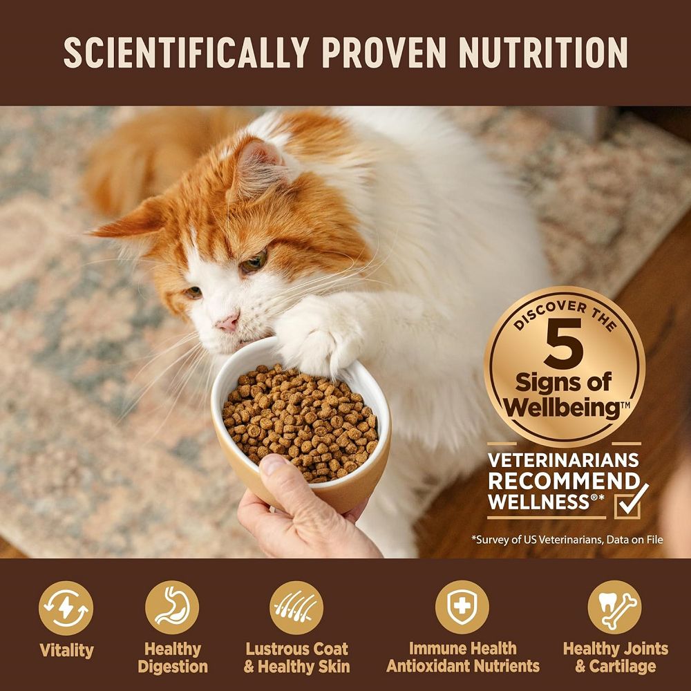 Premium CORE Original Deboned Turkey Dry Cat Food for Adult Cats - High Protein Grain-Free Recipe for Healthy Weight & Digestion - Perfect for Indoor & Outdoor Cats
