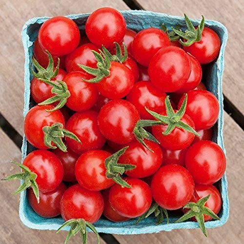 Organic Matt's Wild Cherry Tomato Seeds - Non-GMO, Heirloom Variety for Home Garden (25 Seeds) | Perfect for Salads, Snacking, and Fresh Eating | Ideal for Container Gardening, Raised Beds & Backyard Farms