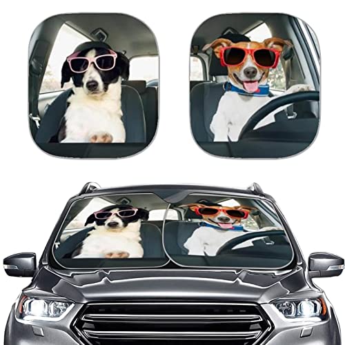 Funny Dog Driver