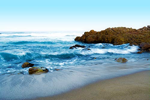 Tropical Beach N166