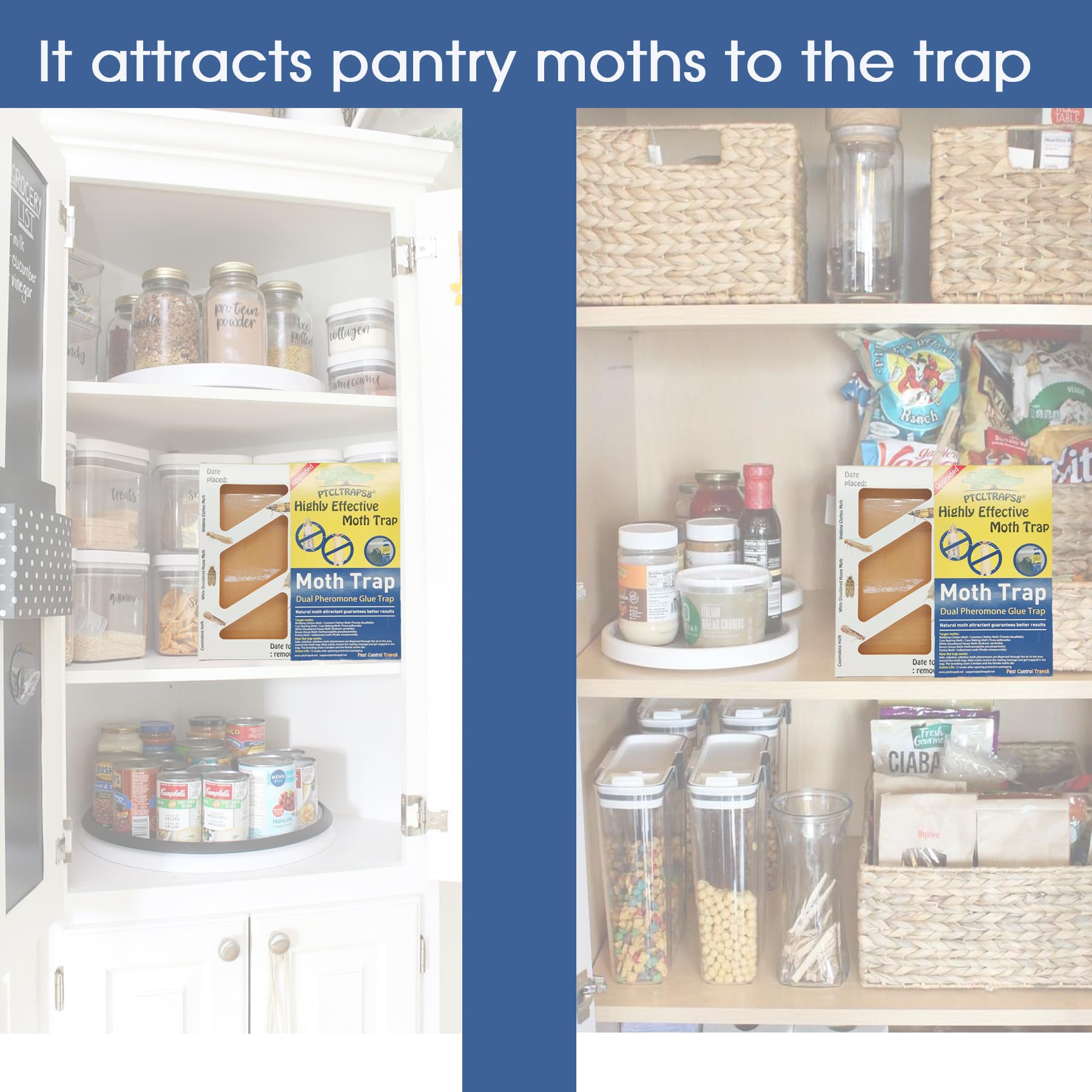 Premium Dual Moth Traps for Clothes & Pantry - Safe, Odor-Free Pheromone Traps (4 Pack) - Protect Wool, Cashmere & Stored Food from Moth Damage - Ideal for Wardrobes, Storage Boxes & Kitchen Cabinets