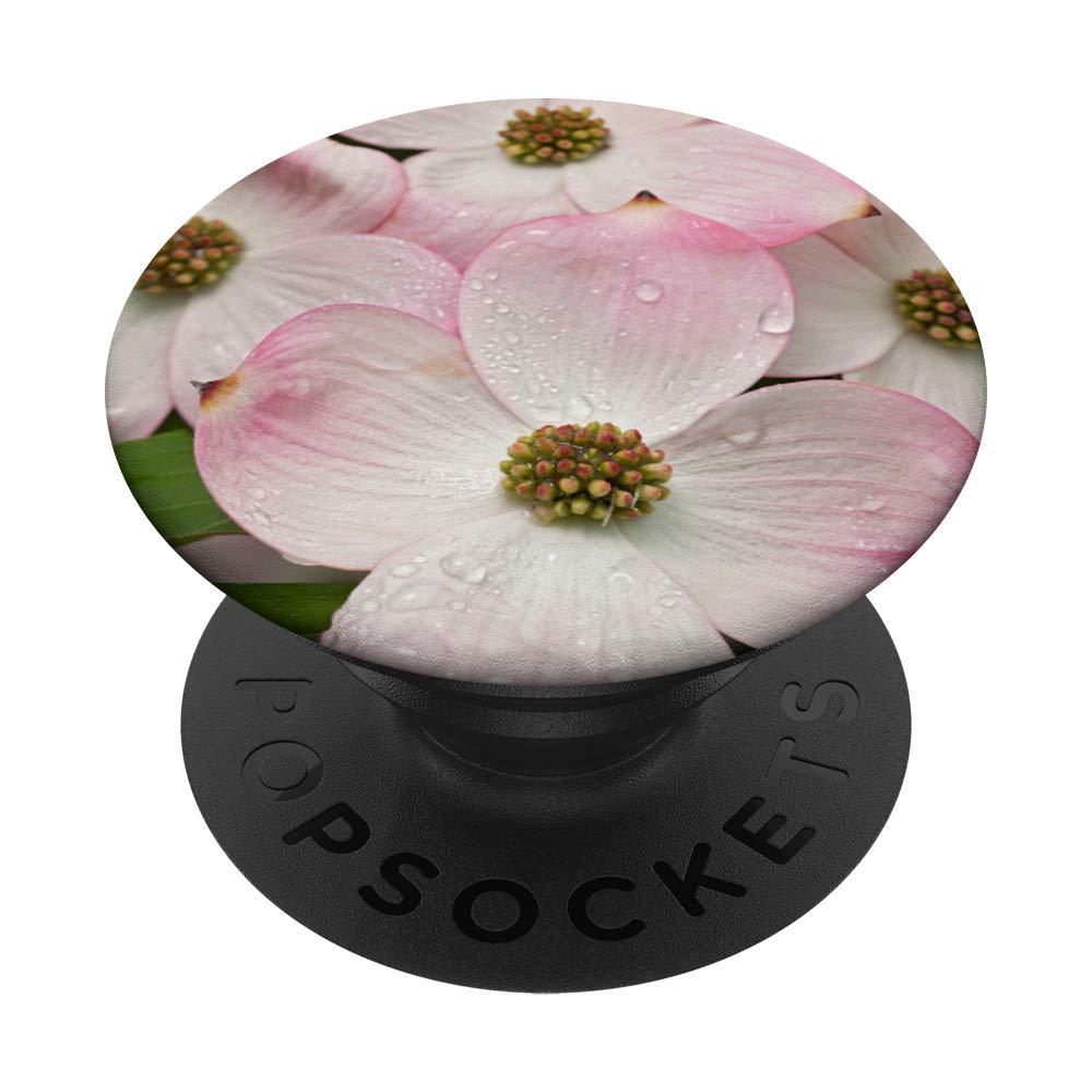 Dogwood Flower PopSockets Phone Grip & Stand - Expandable Phone Holder for iPhone, Samsung, Tablets - Perfect for Selfies, Gaming & Hands-Free Use