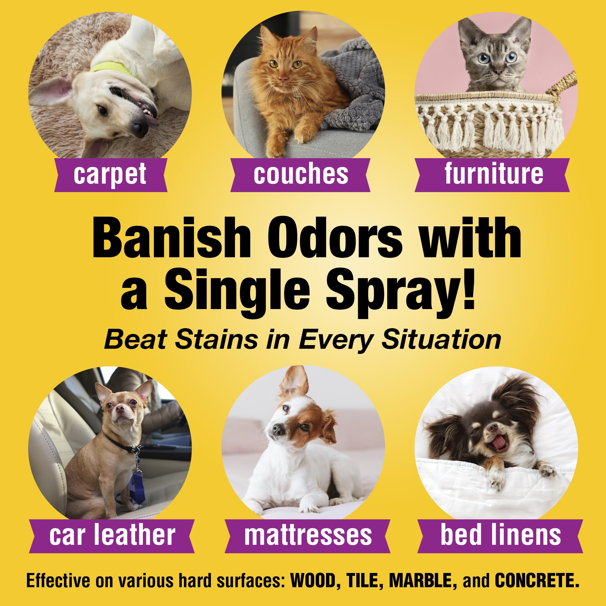 Pet Odor Eliminator Spray - 128oz Enzyme Cleaner for Cat & Dog Urine | Carpet, Tile & Wood Deodorizer for Home Use