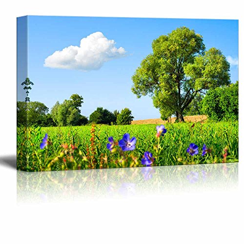 Fresh Green Meadow Trees