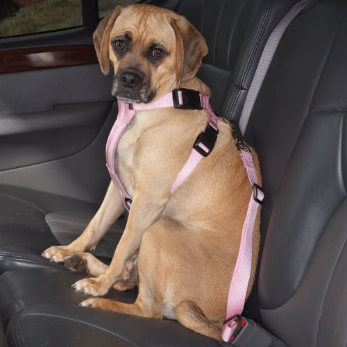 Premium HDP Car Harness Dog Safety Seat Belt - Secure Pet Travel System for Cars & Road Trips - Perfect for Small, Medium & Large Dogs