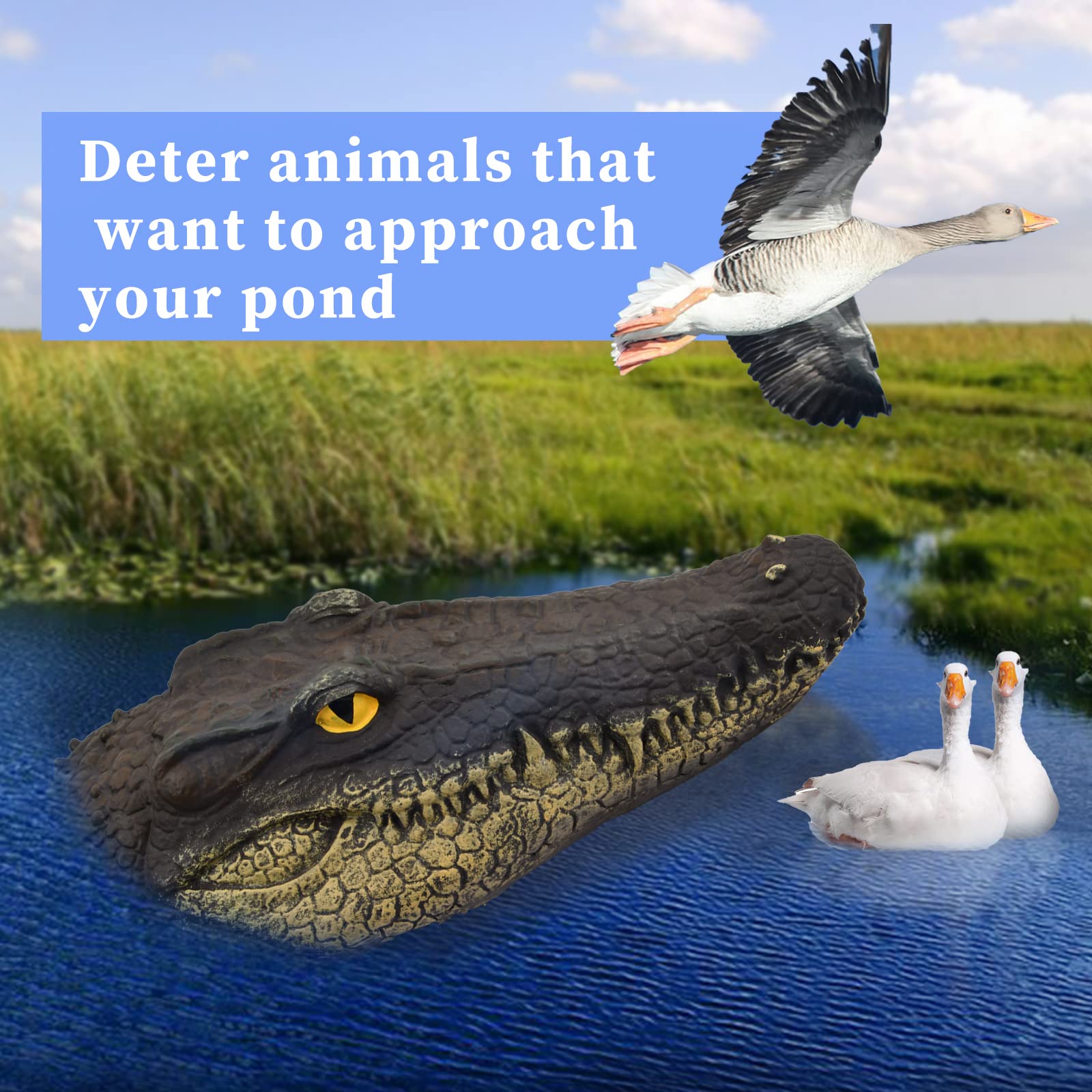 Realistic Floating Alligator Head Decoy for Ponds & Pools - White Mouth Crocodile Float Deterrent for Ducks & Geese - Outdoor Water Garden & Swimming Pool Decoration - Perfect for Wildlife Control & Themed Party Decor