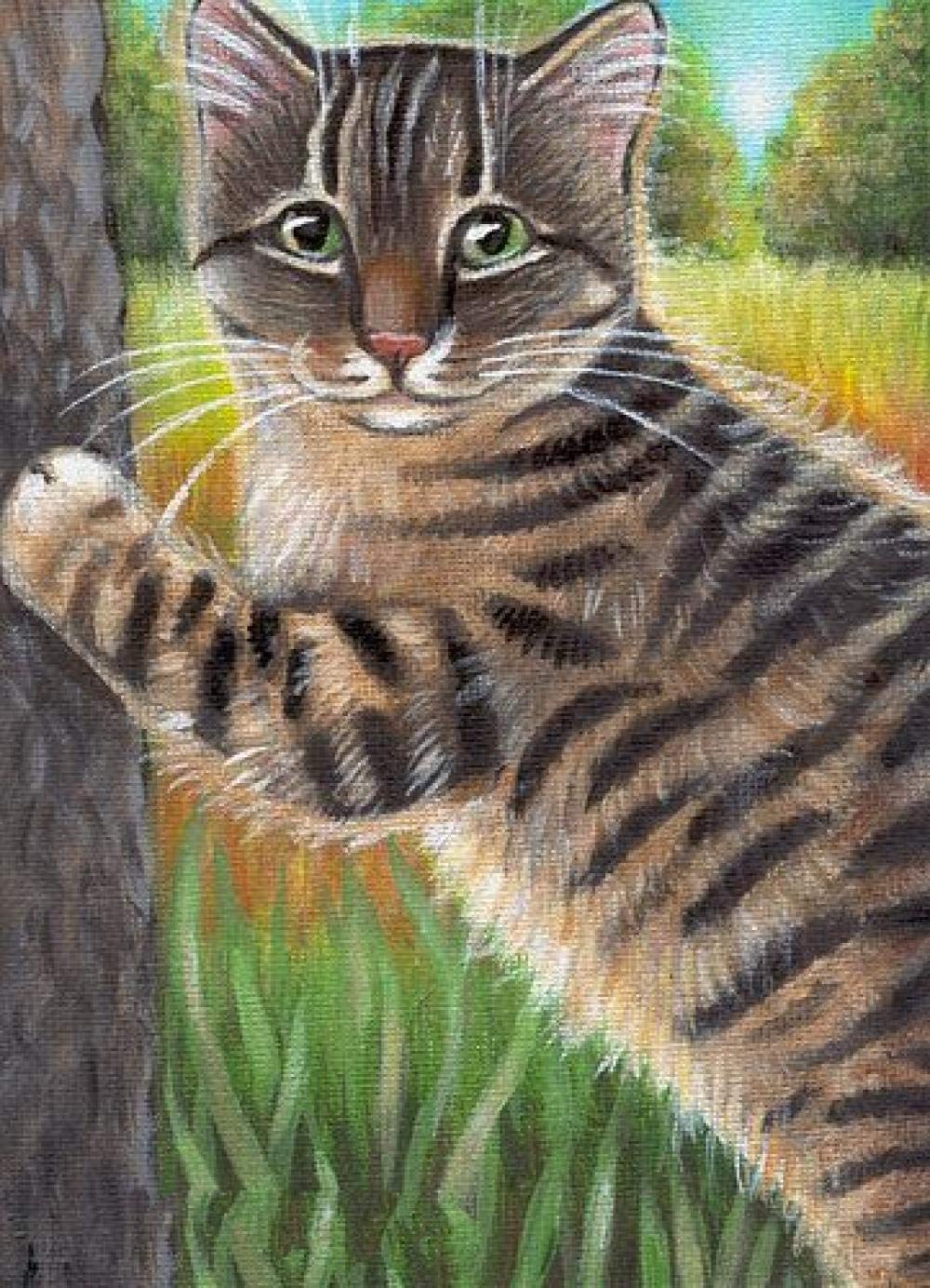DIY Diamond Painting Kits for Adults - Full Drill Tabby Cat Diamond Art, 40x50cm Home Wall Decor (No Frame) - Perfect for Relaxation, Stress Relief & Creative Gift Ideas