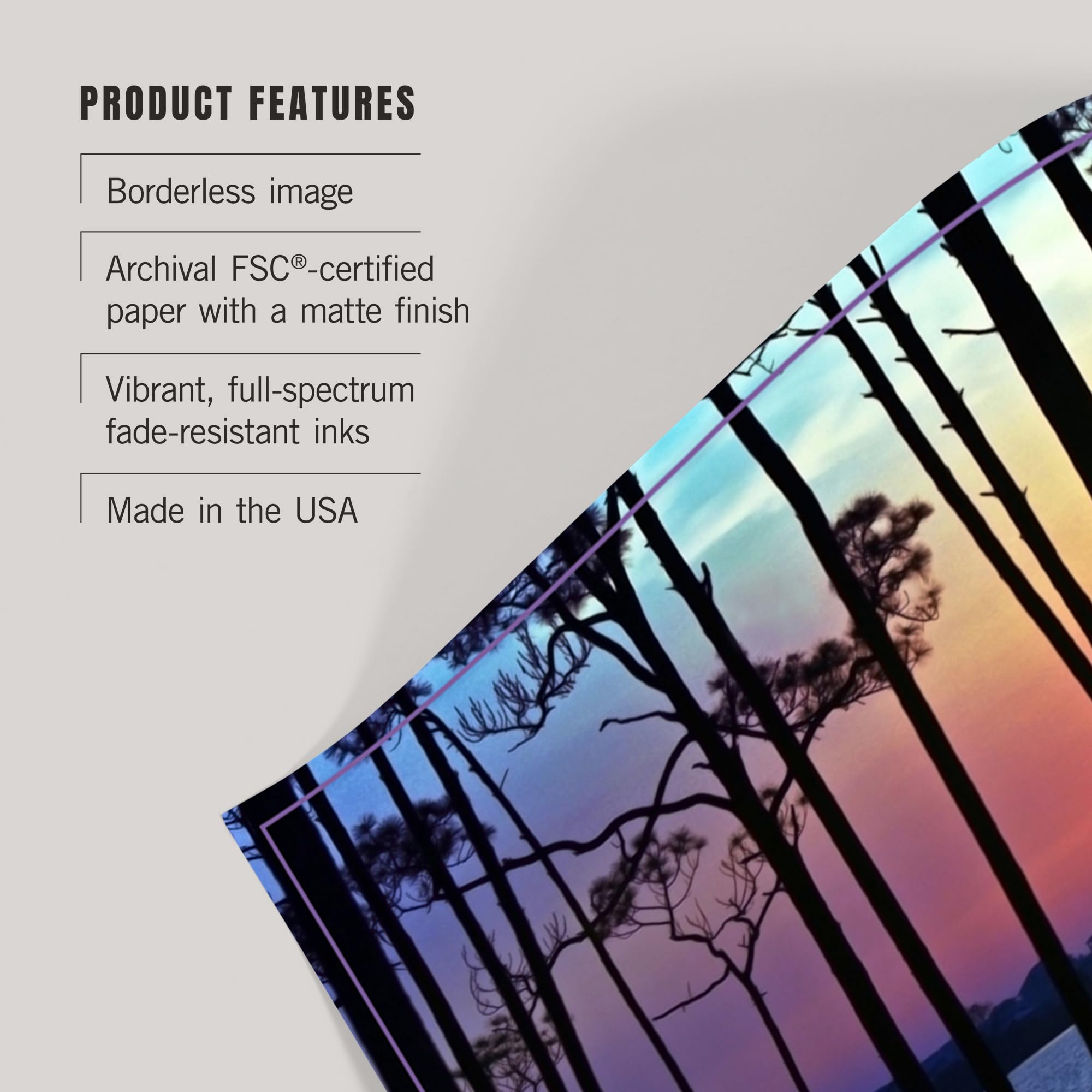 Lantern Press 16x24 Inch Giclee Art Print - Florida Sunset Silhouette Wall Decor | Premium Canvas Painting for Living Room, Bedroom & Office