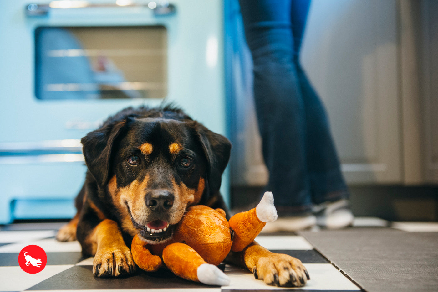 El Pavo Entero Holiday Classic™ Dog Plush Toy - Soft & Durable Chew Toy for Small & Large Dogs | Perfect for Thanksgiving, Christmas & Playtime Fun | Pet P.L.A.Y.