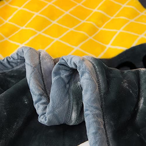 Premium Korean Mink Fleece Blanket - Ultra Soft & Warm 2-Ply Heavyweight Blanket (60x80 Inches, 5 lbs) - Pineapple Abstract Design for Cozy Bedroom, Winter Nights & Home Decor - Perfect Gift for Autumn & Winter Seasons