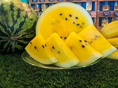 30+ Yellow Flesh Doll Babies Desert King Watermelon Seeds (Not Seedless) - Sweet Juicy Melon for Home Gardening, Farmers Market & Fresh Fruit Snacking