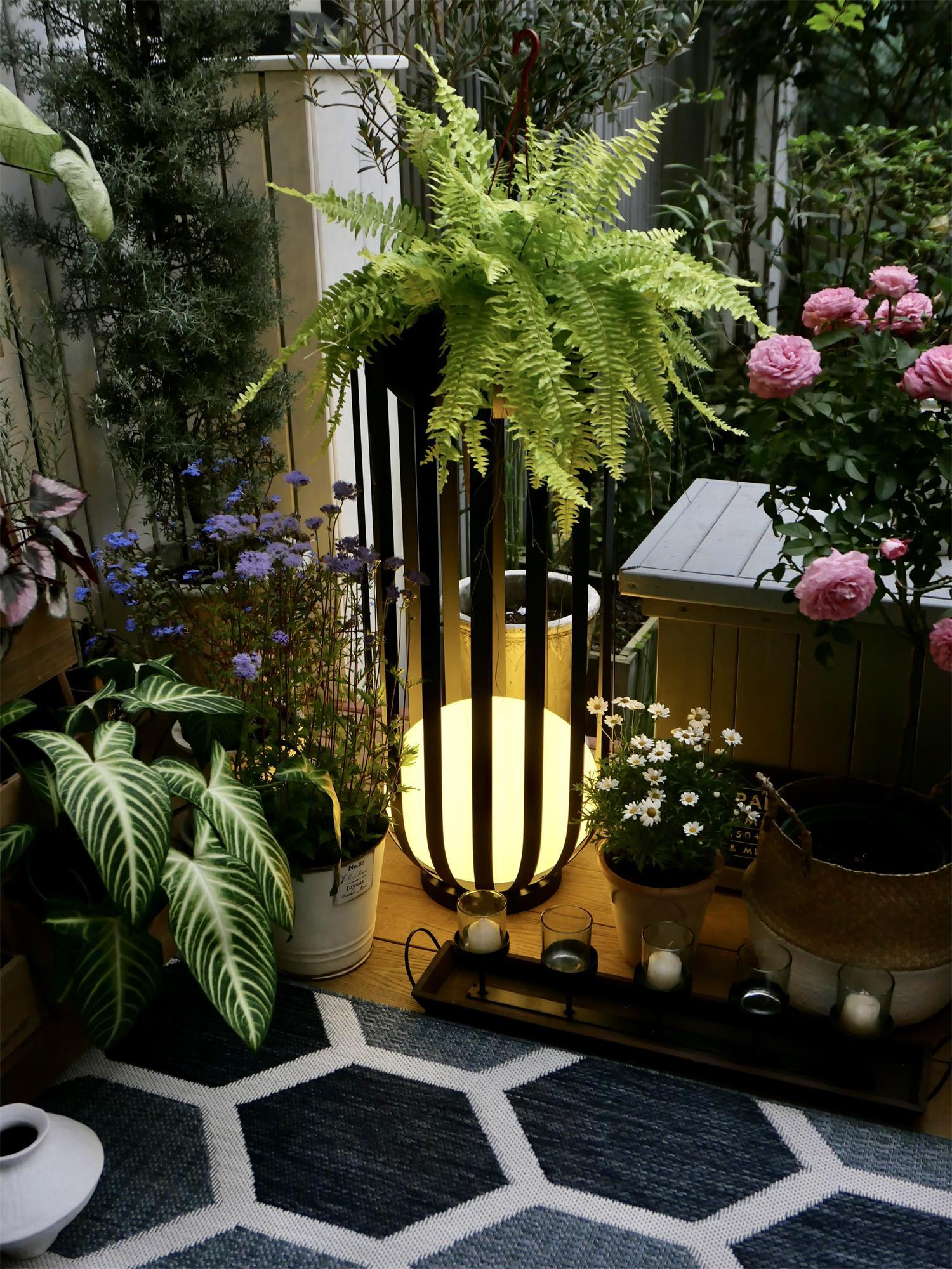 Bols Solar Powered Garden Lights Outdoor Waterproof LED Landscape Lighting for Yard, Pathway, Patio - Energy Efficient Decorative Solar Lights for Garden, Lawn, Deck, Backyard, Walkway