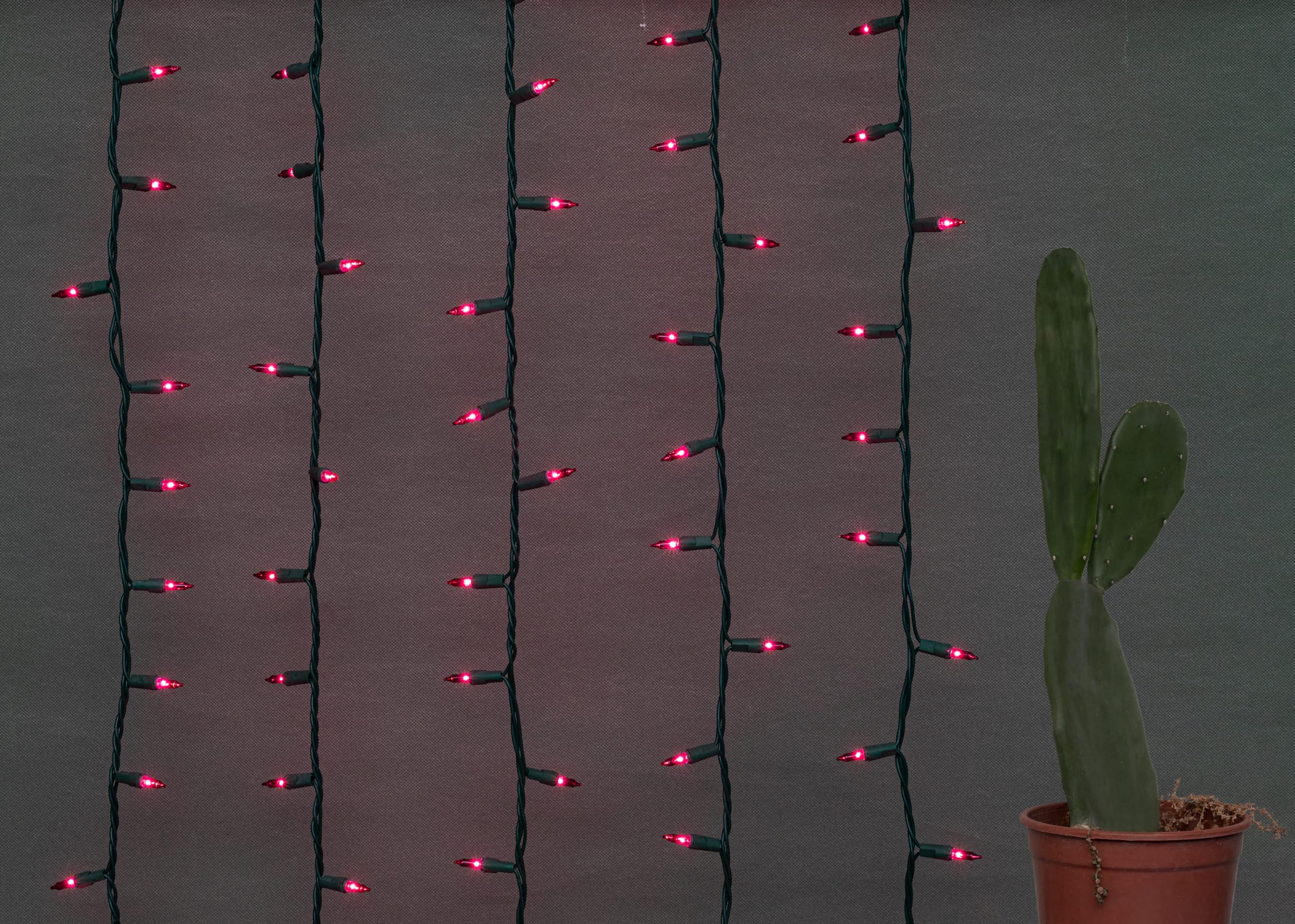 Brite Star 100-Count Mini Red Christmas String Lights - 22ft Green Wire Indoor/Outdoor Holiday Decor for Christmas Trees, Parties, and Home Decoration
