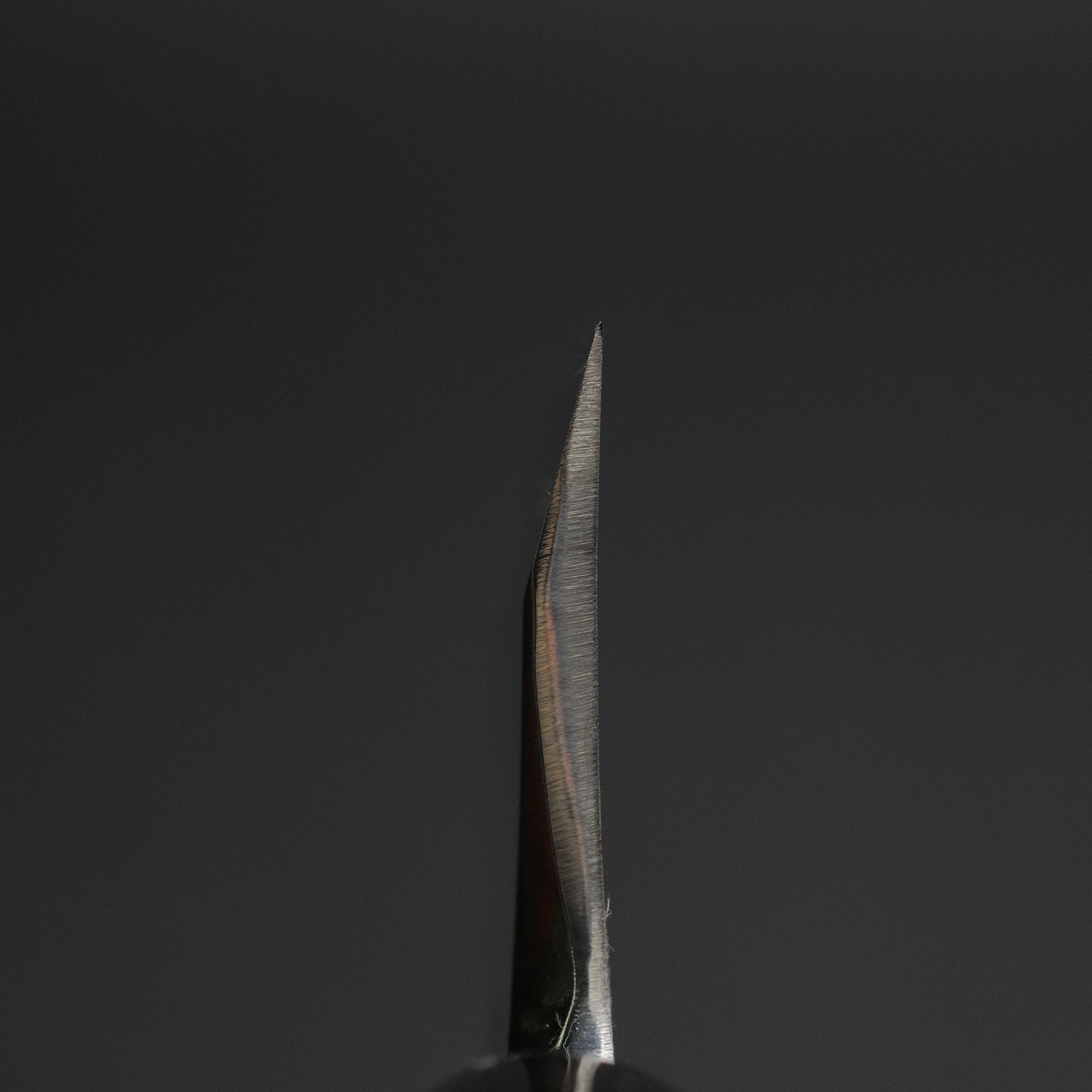 Premium Sakai Kikumori Shironiko White #2 Deba Knife 165mm - Japanese Magnolia Handle - Perfect for Sushi, Filleting Fish & Professional Chefs