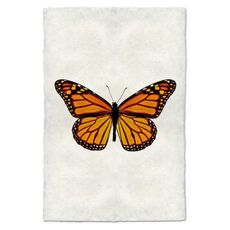 Butterfly #13 Art Print - Vintage Butterfly Wall Decor for Home, Office & Nursery - Perfect for Living Room, Bedroom & Gift Giving
