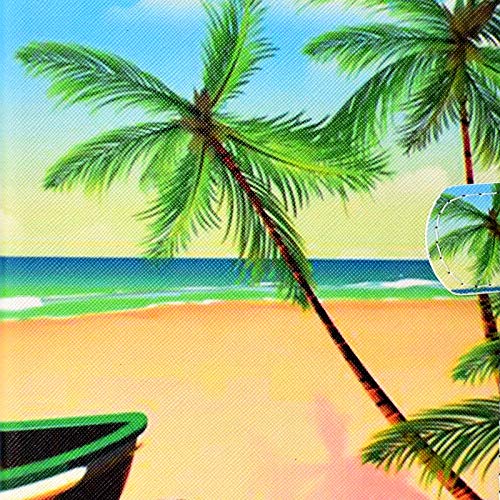 Coconut Palm