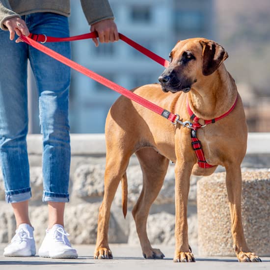 Multi-Purpose Dog Leash for Medium Dogs - Durable & Adjustable Pink Pet Leash for Walking, Training & Outdoor Adventures