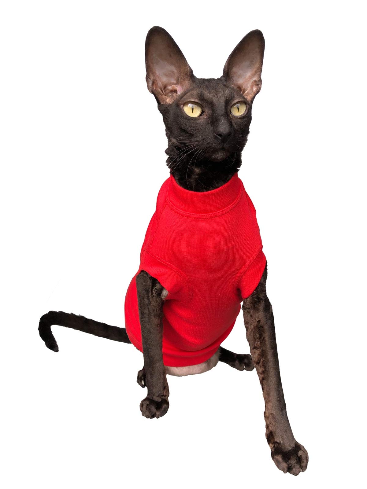 Stylish Red Turtleneck Maxi Sweater for Sphynx & Hairless Cats - Soft Warm Winter Clothing for Naked Cats - Perfect for Indoor Comfort & Photo Shoots