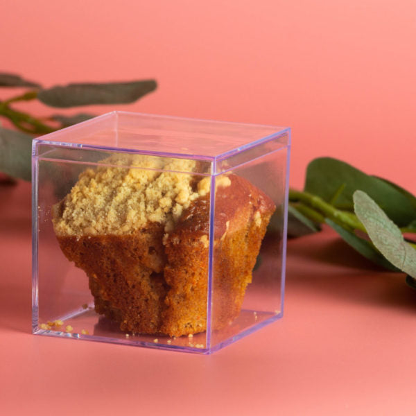 3 Inch Clear Square Plastic Storage Boxes with Lid - 4 Pack for Organizing Jewelry, Crafts, and Small Items
