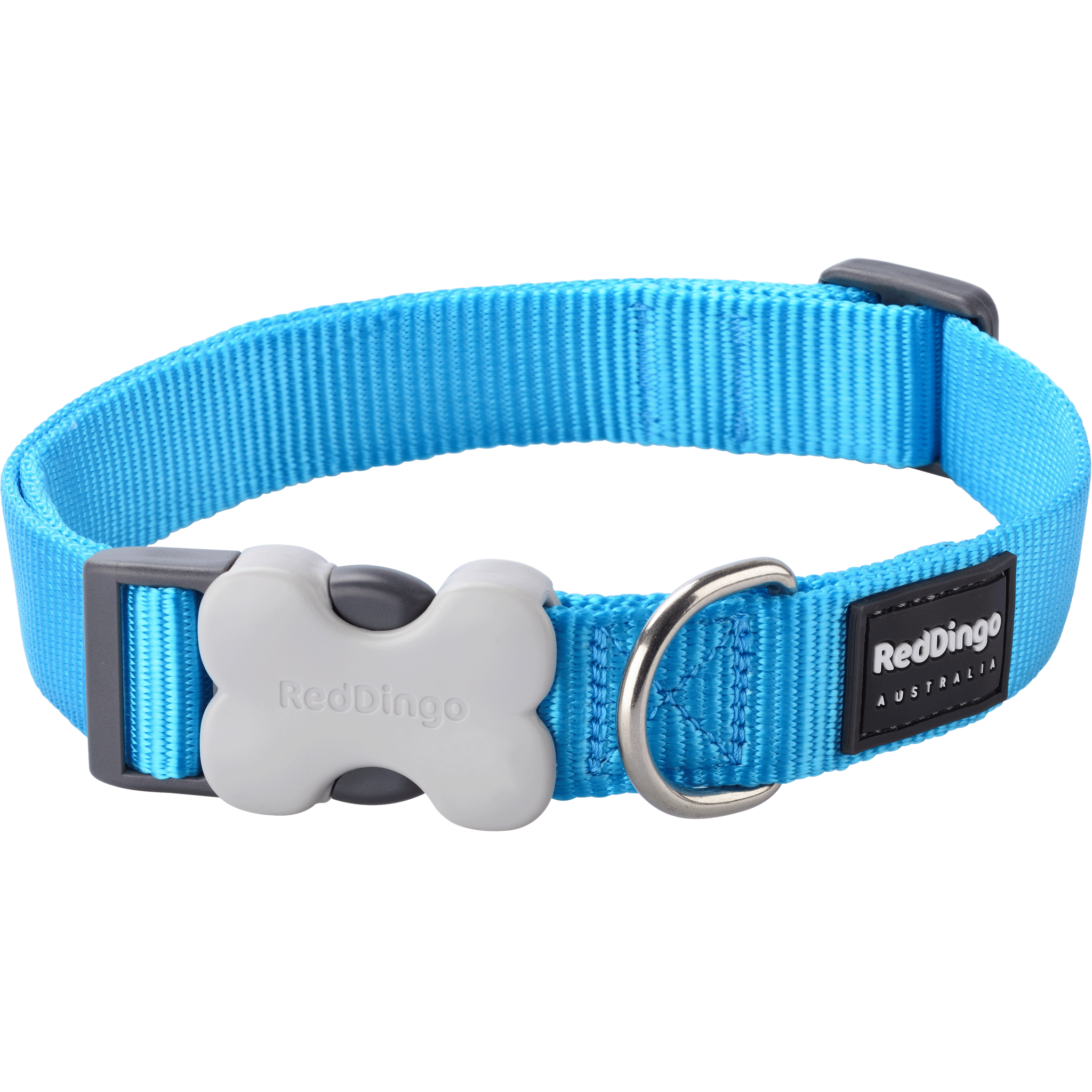 Red Dingo Turquoise Bucklebone Classic Dog Collar - Adjustable Nylon Pet Collar for Small Medium Dogs, Durable & Comfortable for Daily Walks, Training & Outdoor Adventures