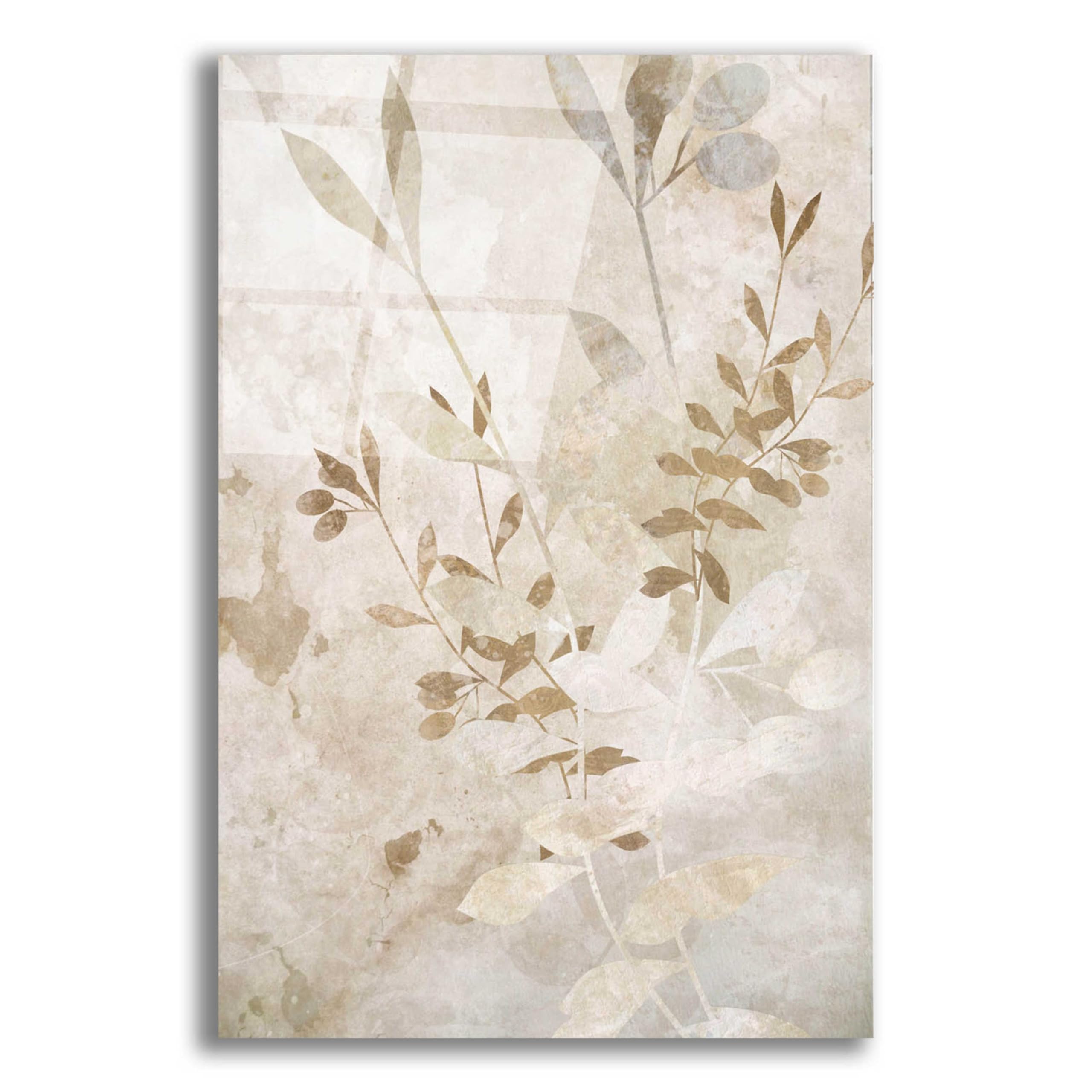 Karen Smith 'Nature Wall 2' Acrylic Glass Wall Art Print - 16x24 Inches Modern Home Decor for Living Room, Bedroom & Office