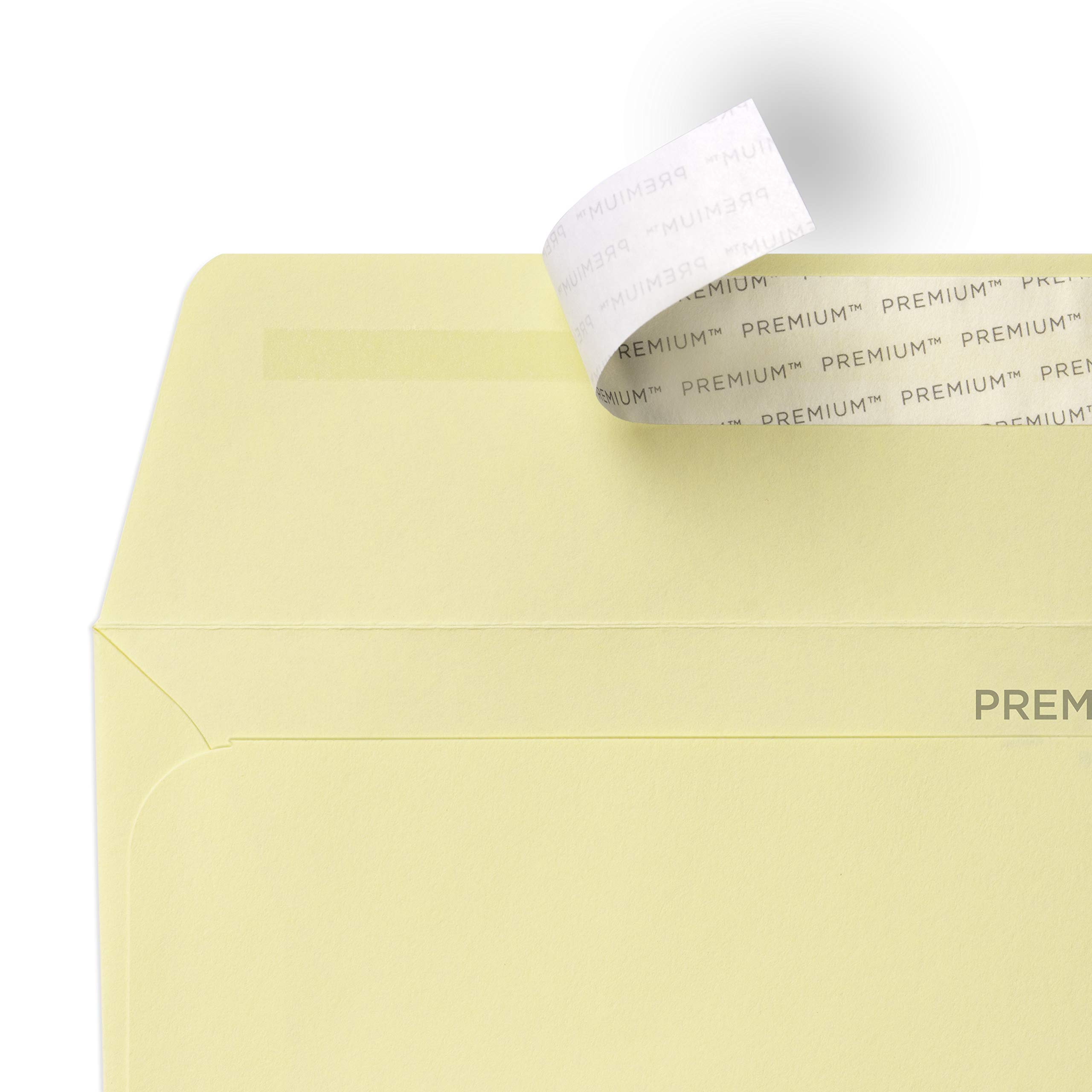 Premium Business DL 110 x 220 mm 120 GSM Peel & Seal Window Wallet Envelopes (51884) Vellum Wove - Pack of 500 for Mailing Invoices, Statements & Business Correspondence