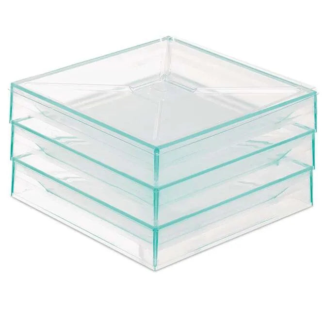 Comatec Eco-Friendly Bento Lunch Box | Durable Sea Green Plastic Container for Meal Prep, Office & School Lunch | BPA-Free, Leak-Proof Food Storage