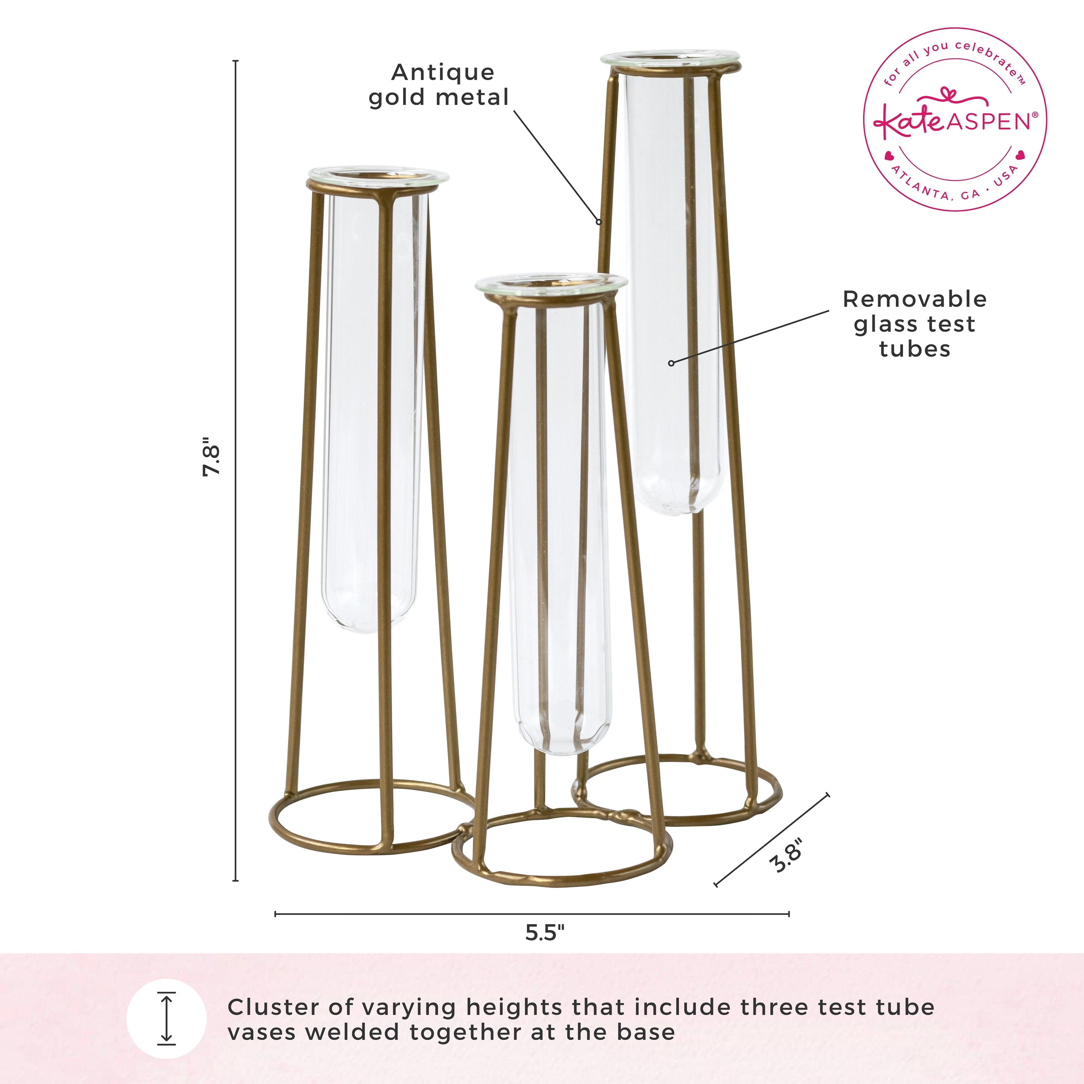 Glass Test Tube Flower Vase - 6 Pack Propagation Station for Plants, Herbs & Flowers | Perfect for Home Decor, Wedding Centerpieces & DIY Gardening Projects