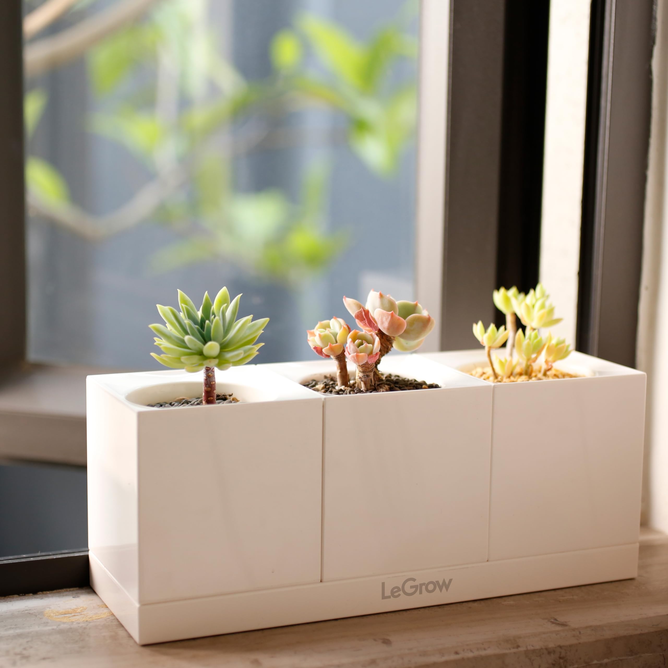 LeGrow Smart Garden Indoor Planter Starter Kit - 3 Patented Design Self-Watering Plant Pots with Water Holding Base Tray for Herbs, Flowers & Vegetables - Perfect for Home, Office & Kitchen Gardening (Plants Not Included)
