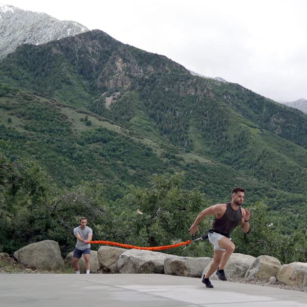 Son of The Beast Stroops - Premium Pair of 2 Resistance Bands for CrossFit, Strength Training & Home Workouts - Ideal for Gym, Fitness & Physical Therapy