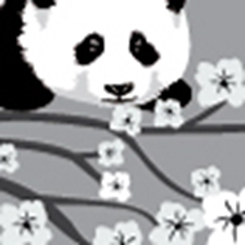 Grey White With Panda