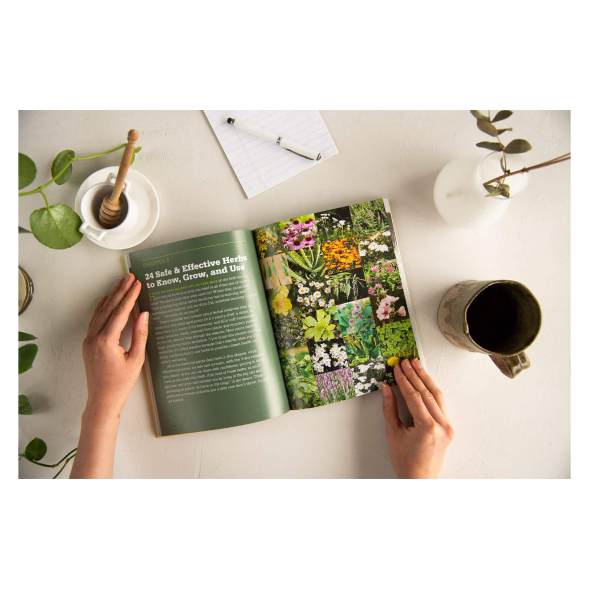 Medicinal Herbs for Beginners: Complete Guide to Natural Healing & Herbal Remedies | Home Wellness & Holistic Health
