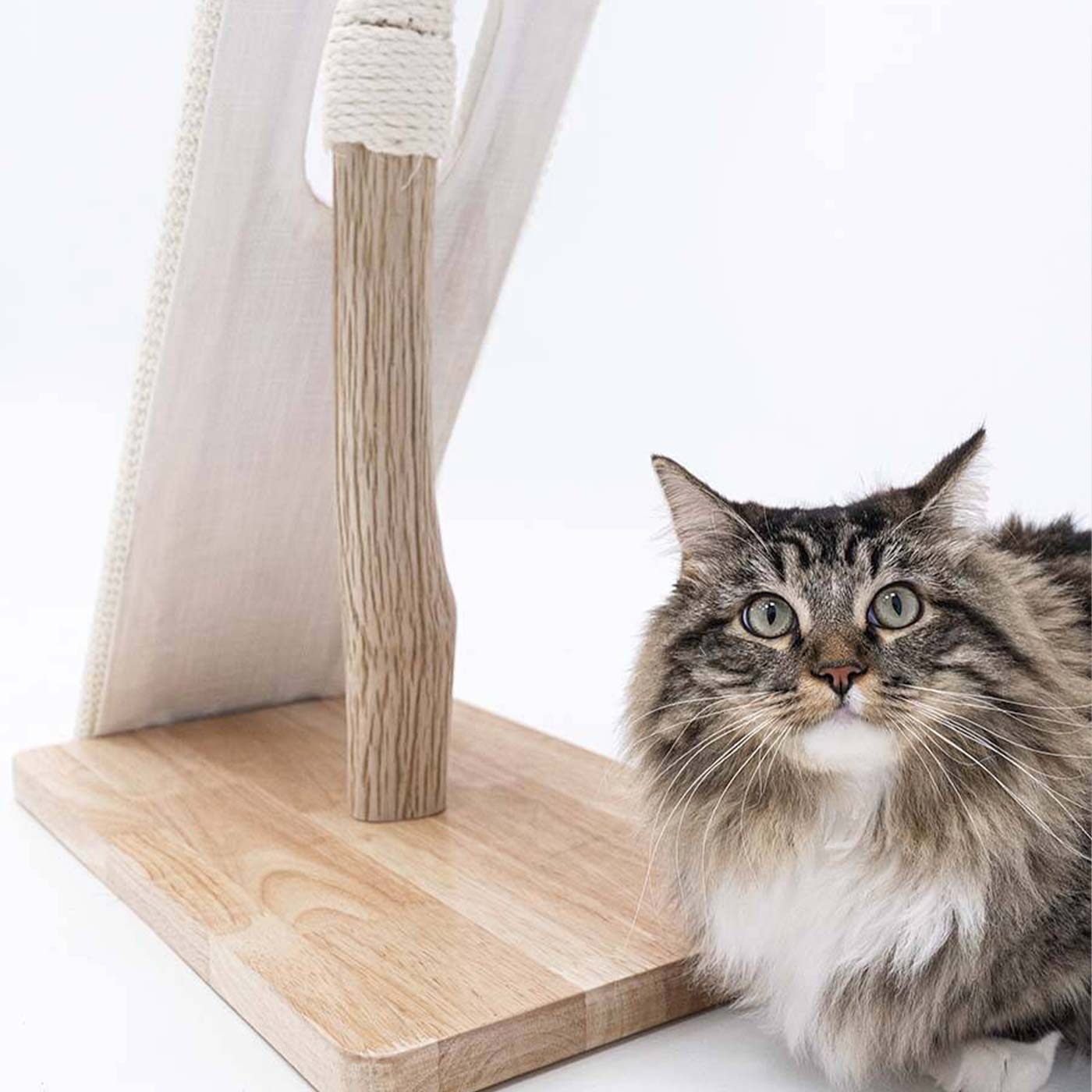 Little Rebels Palmdale 102cm Cat Tree with Scratching Posts & Perches - Multi-Level Playhouse for Indoor Cats - Perfect for Small Spaces & Apartments